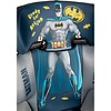 Seggiolino Billy Batman Gr.2/3 (15-36kg) (11074)