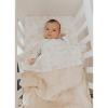 Coperta Culla 100x75 Wrinkled + Spugna