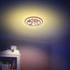Lampada da parete o soffitto LED Minnie