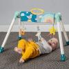 Palestrina Mini Moon Take To Play Baby Gym