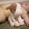 Small Cuddly Mucca Little Farm - 17 Cm