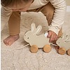 Coniglietti Trainabili Baby Bunny (LD8861)