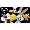 Parasole Anteriore Looney Tunes 130x70cm (10973)