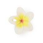 Gioco Massaggiagengive Hawaii il Fiore