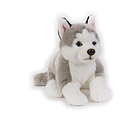 Peluche Cane Husky National Geographic
