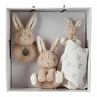 Gift Box - Baby Bunny