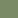 gecko green