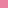 rosa fenicottero