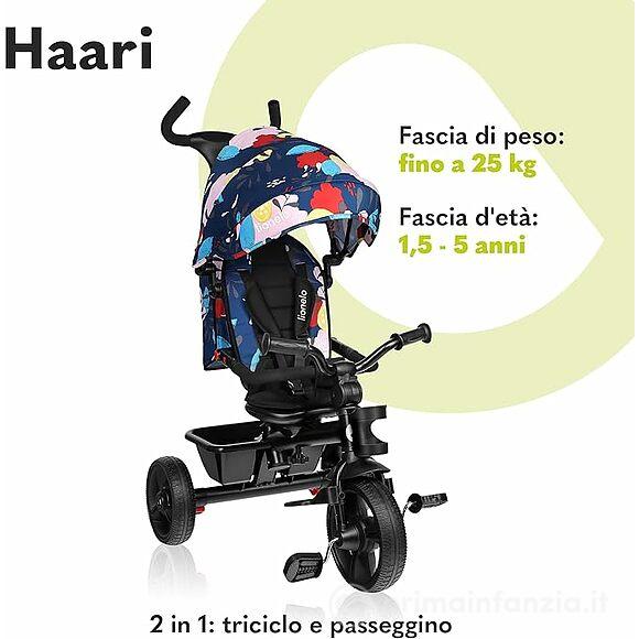 Triciclo Haari